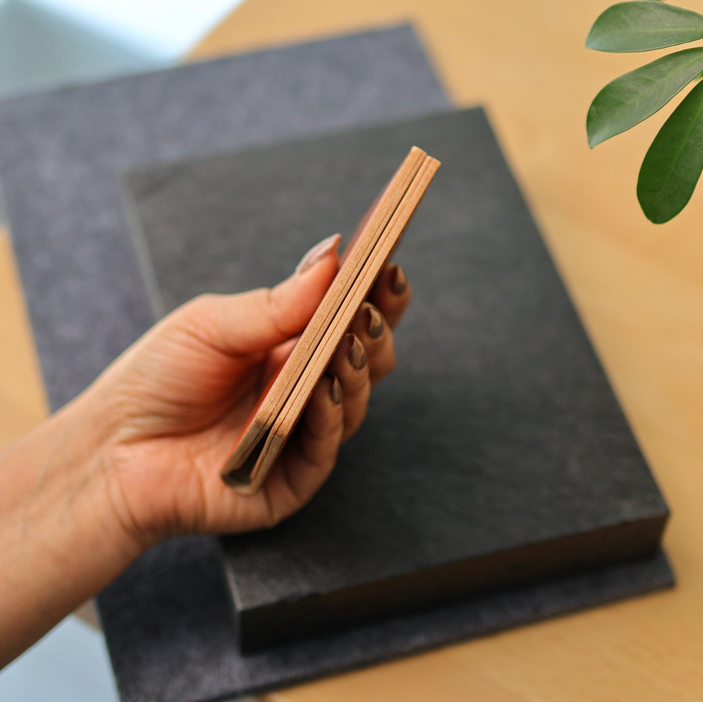 The Compact Bifold